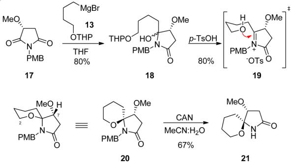 Scheme 5