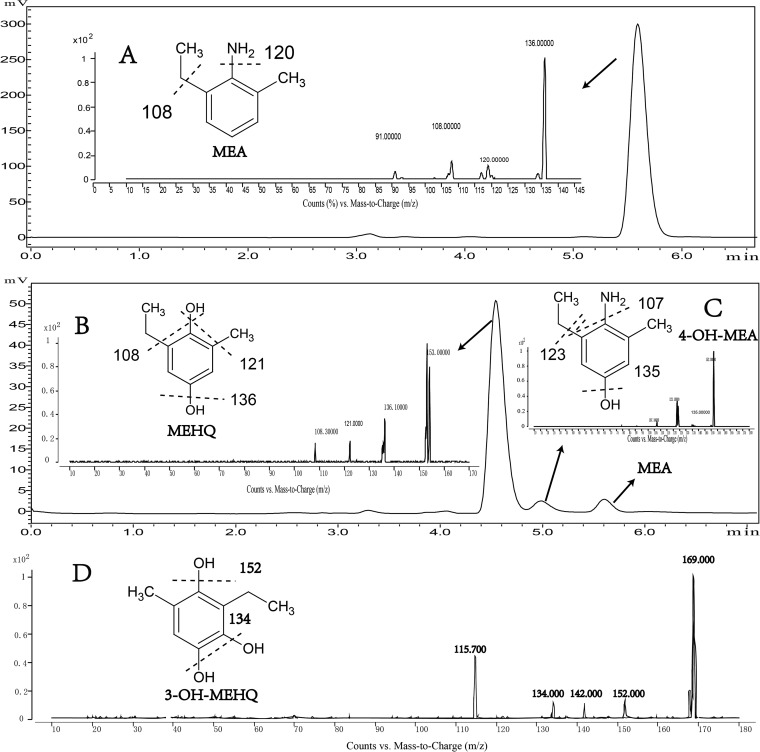 FIG 1