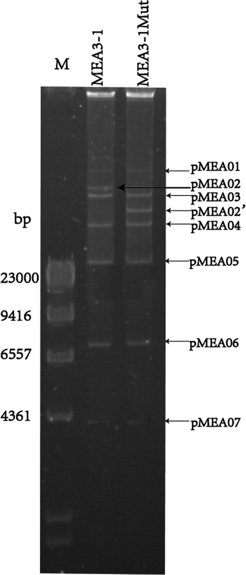 FIG 3