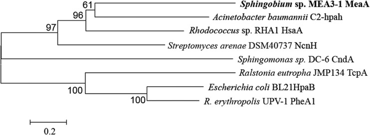 FIG 4