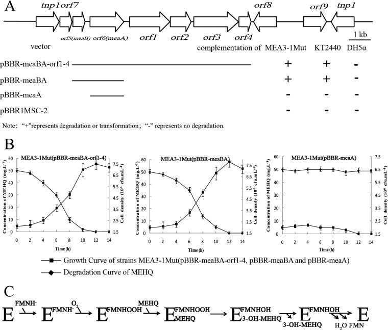 FIG 5