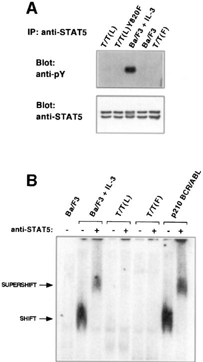 graphic file with name cdd186f6.jpg
