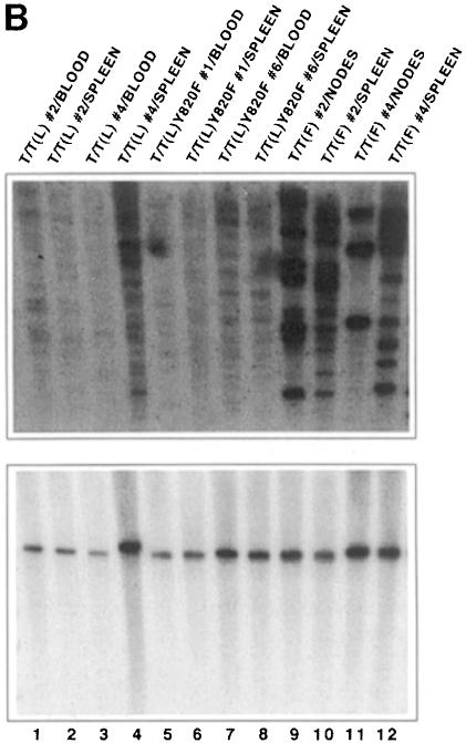 graphic file with name cdd186f11b.jpg