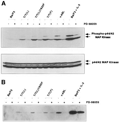 graphic file with name cdd186f7.jpg