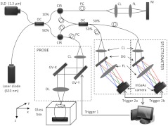 Fig. 1