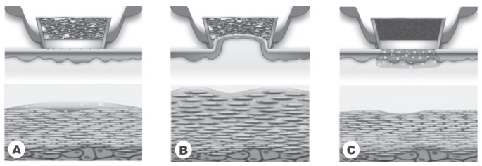 Fig. 3: