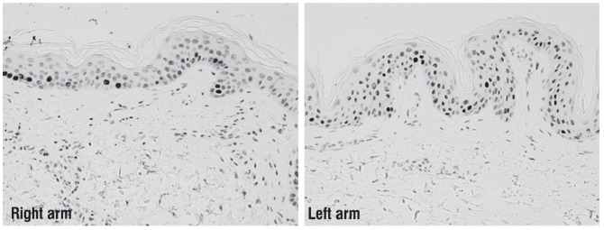 Fig. 8: