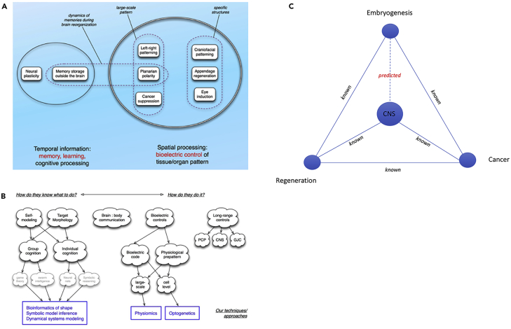 Figure 3