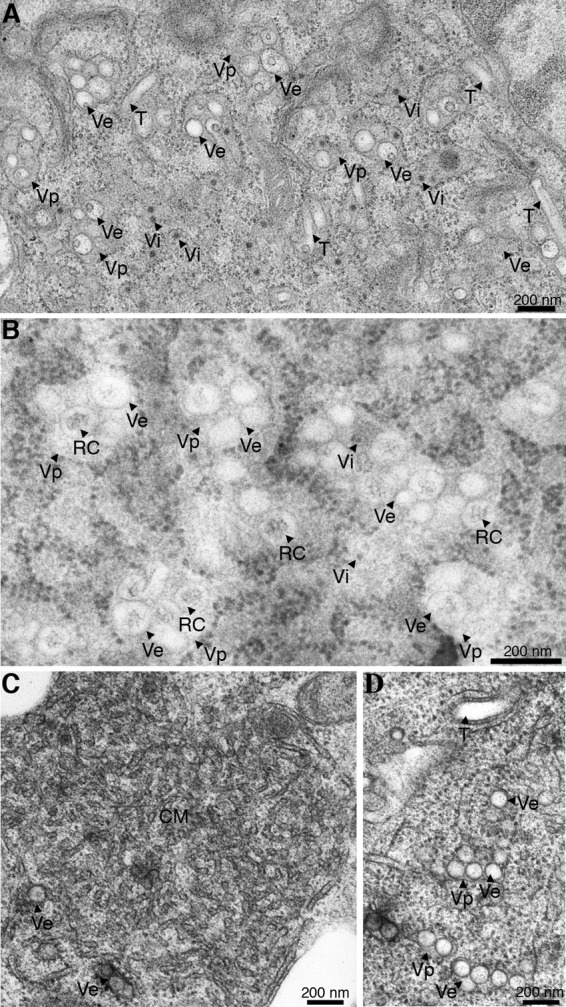 FIG 2