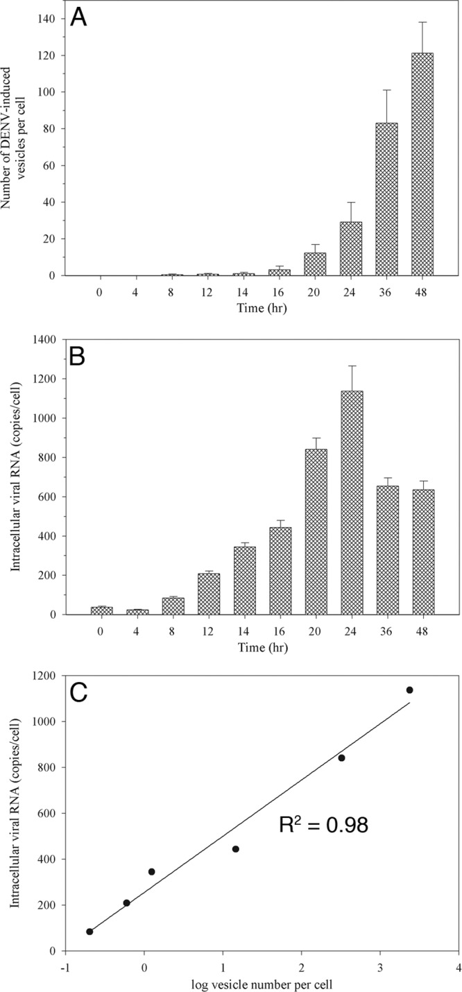 FIG 4