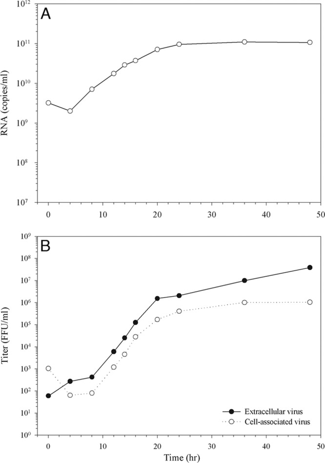 FIG 1