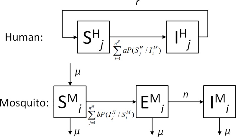 Fig 3