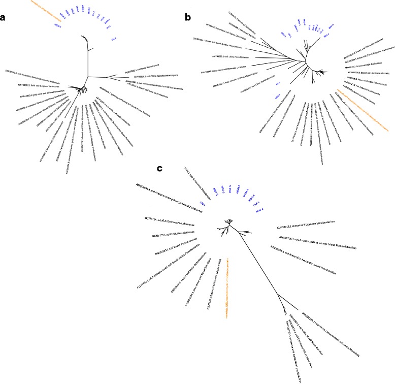 Fig. 6