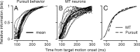 Figure 13.