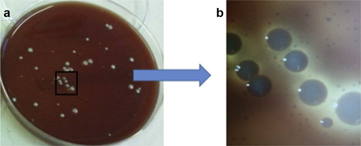 Figure 1