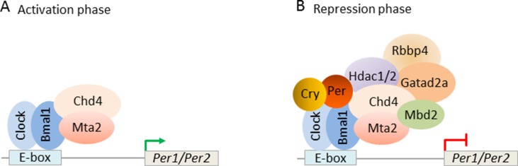 Figure 10