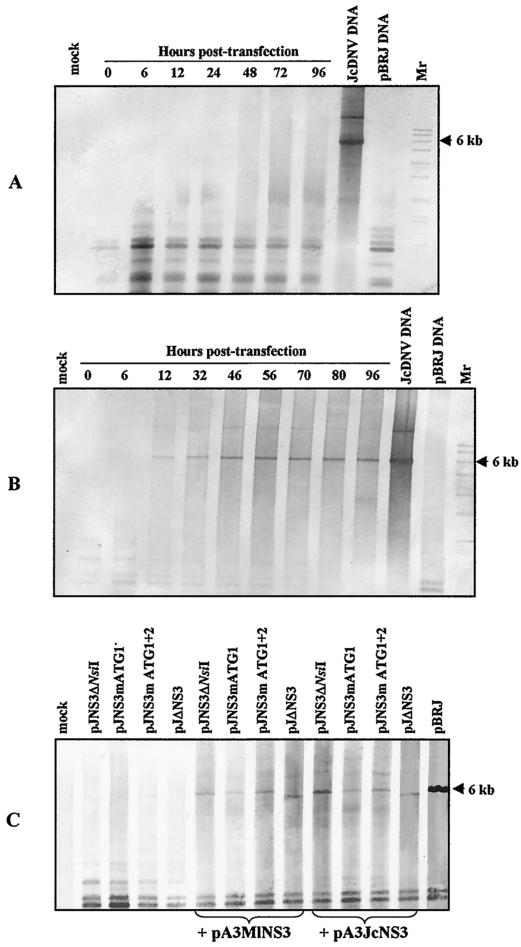 FIG. 5.