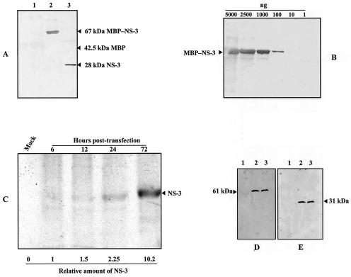 FIG. 6.