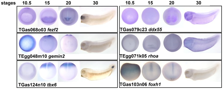 Figure 7