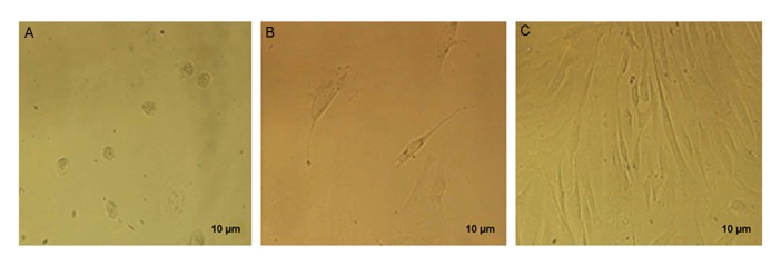 Fig.1