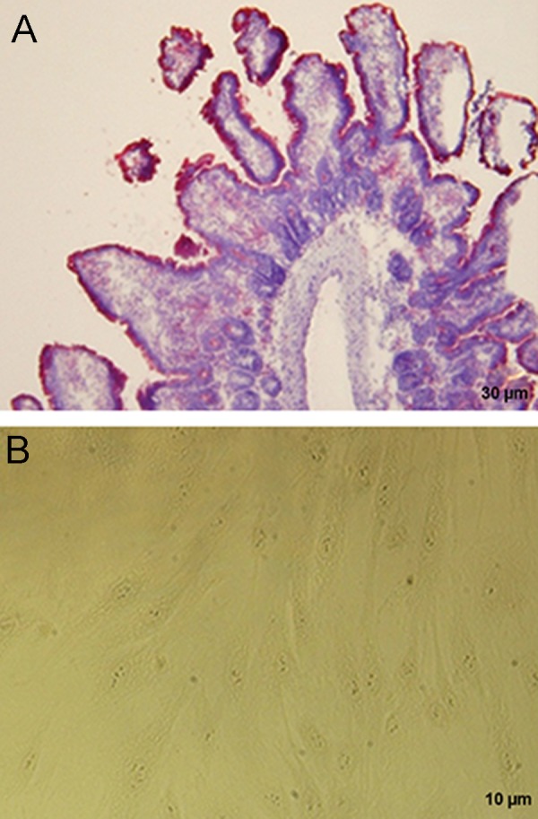 Fig.2