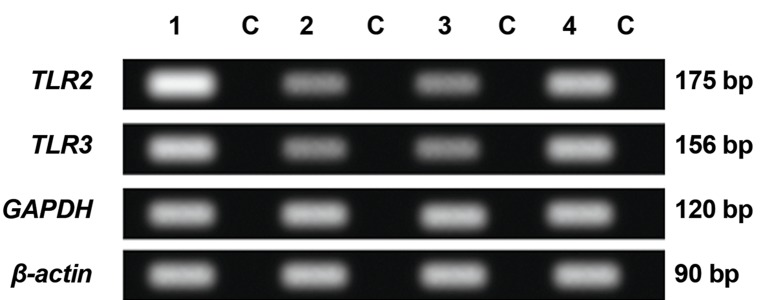 Fig.7