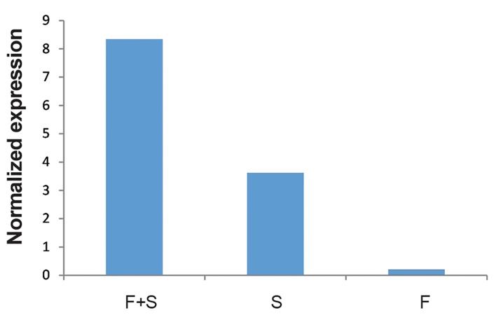 Fig.10