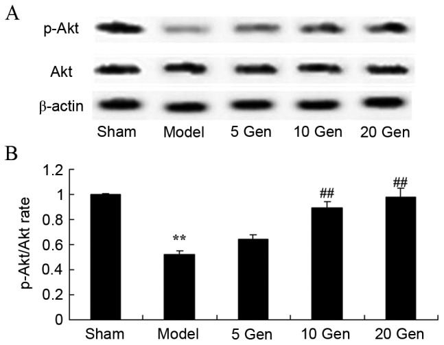 Figure 10.