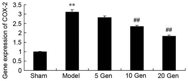 Figure 6.