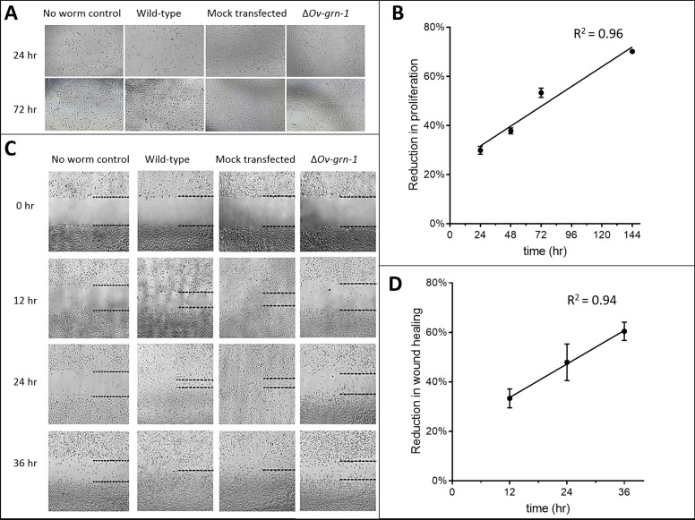 Figure 2—figure supplement 1.