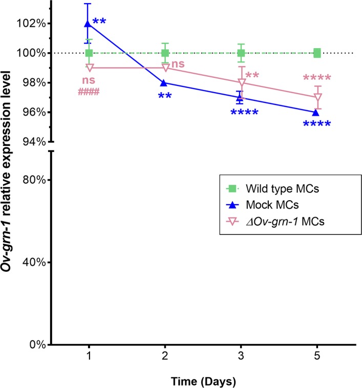 Figure 3—figure supplement 1.