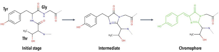 Fig. 15