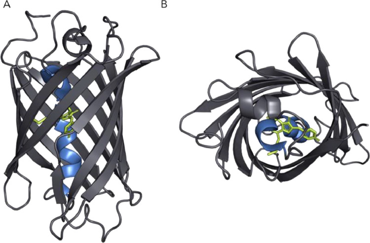 Fig. 14