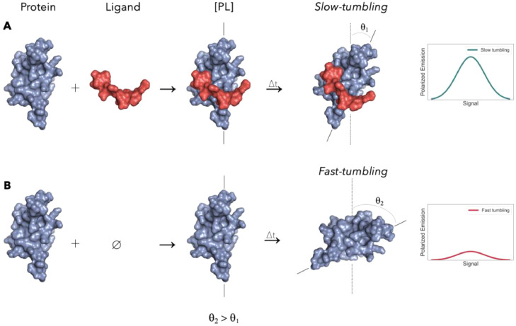 Fig. 11