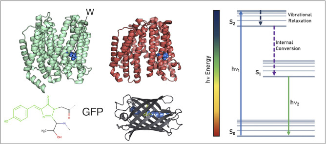 Image, graphical abstract