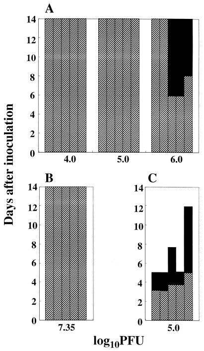 FIG. 6