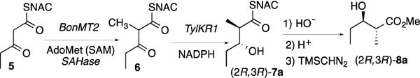 Scheme 1