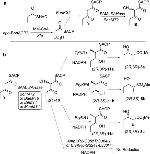 Scheme 2