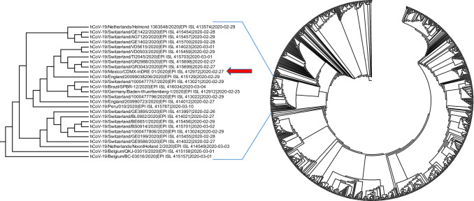 Fig. 2