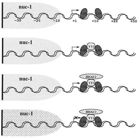 FIG. 6