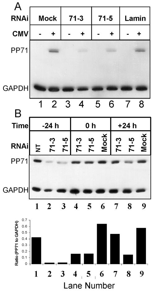 FIG. 9.