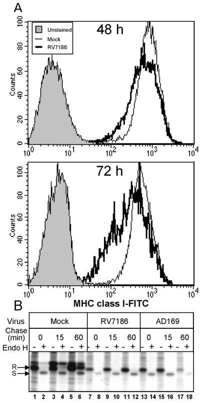 FIG. 8.