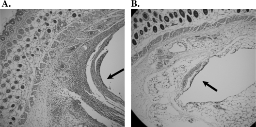 FIG. 5.