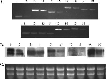 FIG. 6.