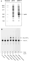 Fig. 12