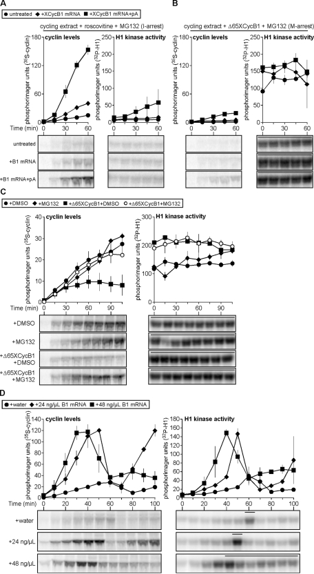 FIGURE 4: