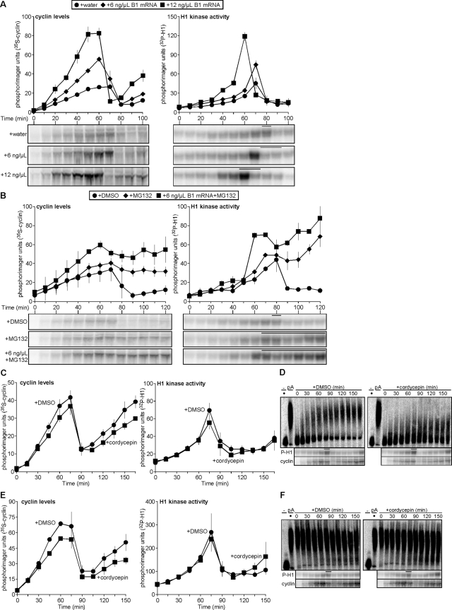 FIGURE 3: