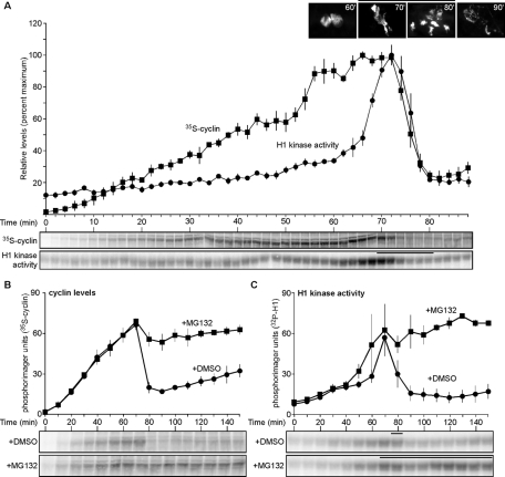 FIGURE 1: