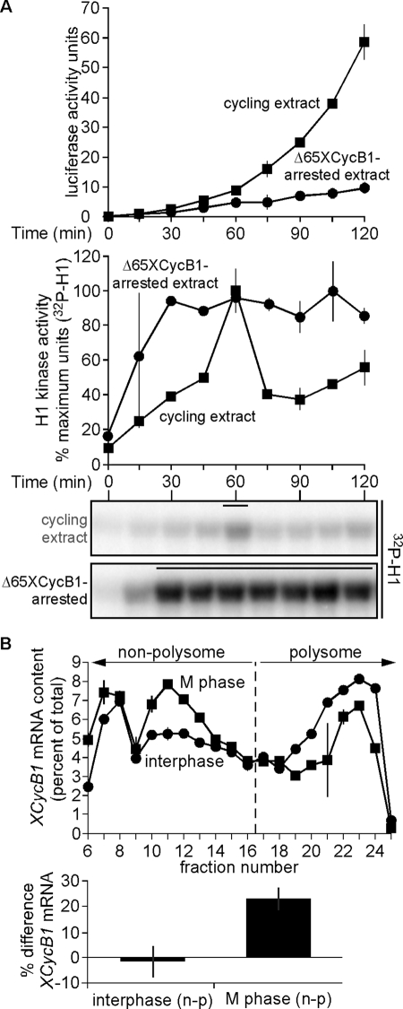 FIGURE 5: