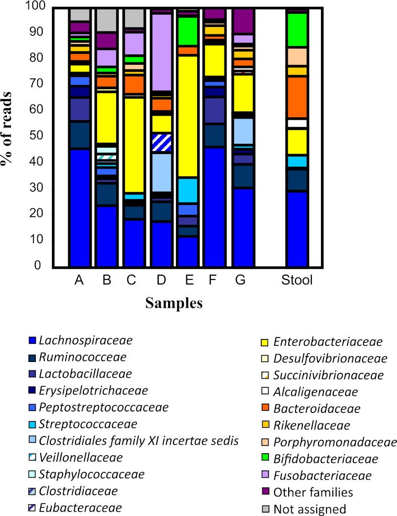 FIG 3 